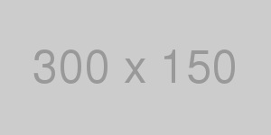 New 300 x 150