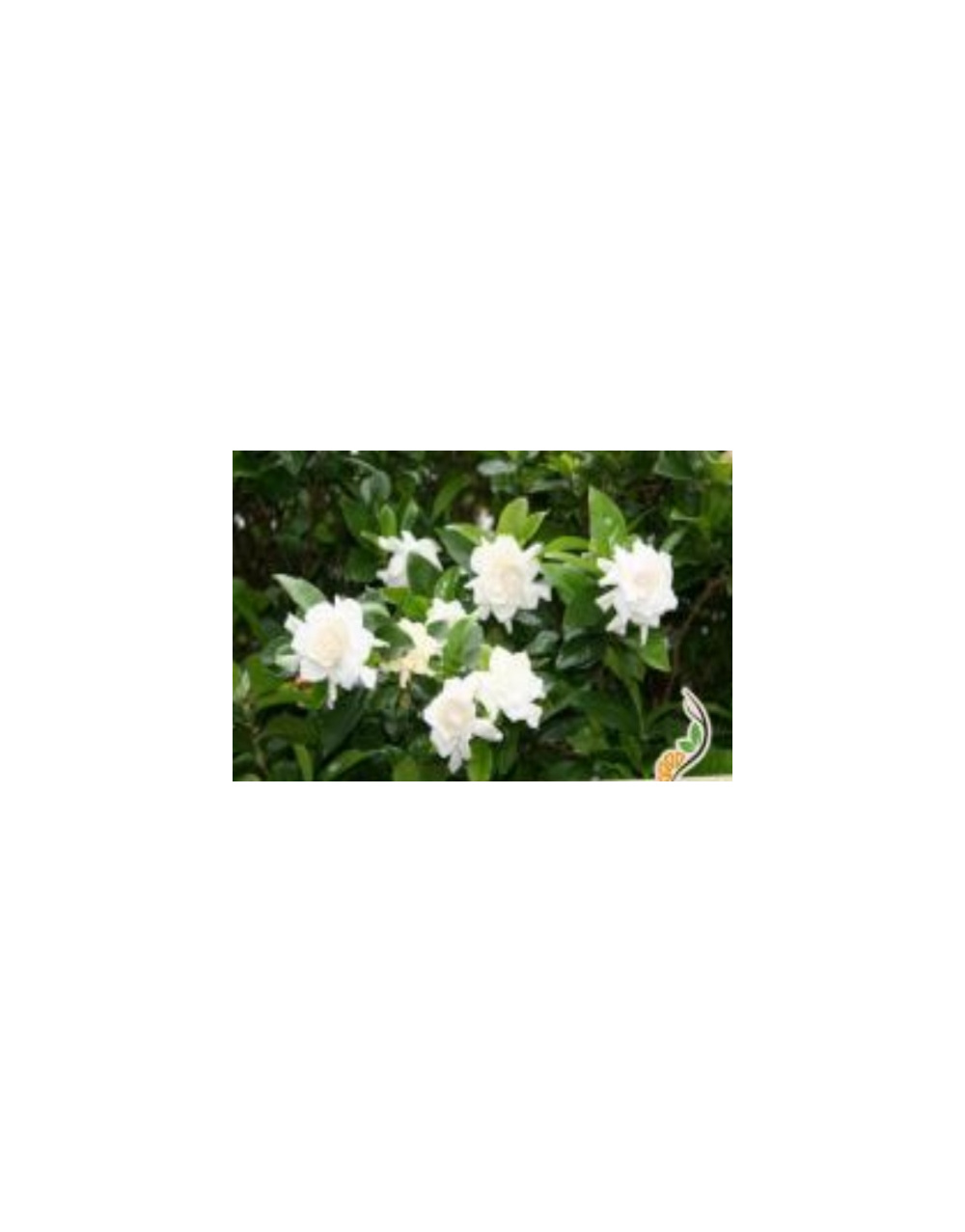 img-20260423-wa0006
