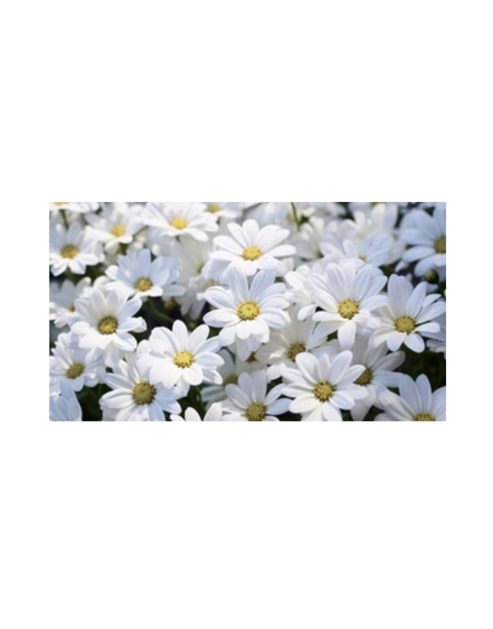 img-20260424-wa0002