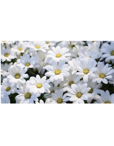 img-20260424-wa0002