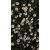 img-20260415-wa0022