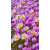 img-20260415-wa0027