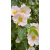 img-20260415-wa0037