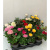 img-20260423-wa0002