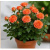 img-20260423-wa0010