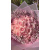 img-20260423-wa0012