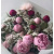 img-20260423-wa0015