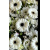img-20260423-wa0016