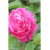 img-20260423-wa0018