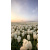 img-20260424-wa0006