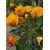 img-20260424-wa0007