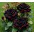 img-20260424-wa0008