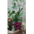 img-20260424-wa0009